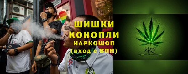 крисы Гусь-Хрустальный