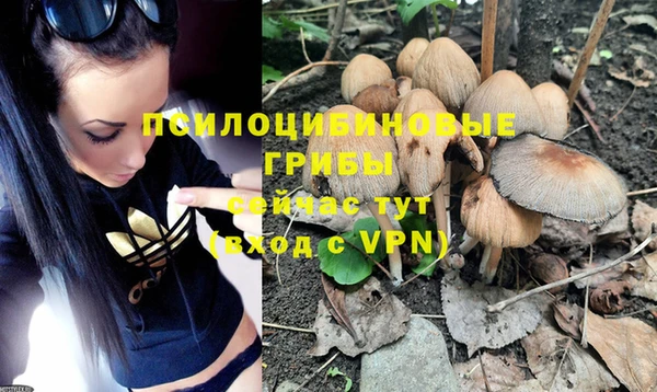 первитин Белокуриха