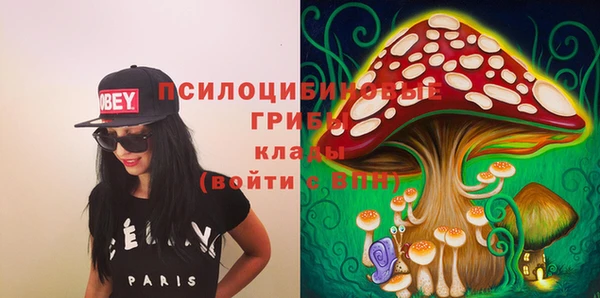 первитин Белокуриха
