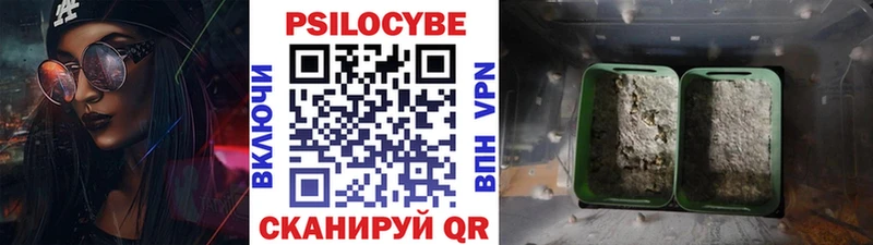 Галлюциногенные грибы Psilocybe  Бузулук 