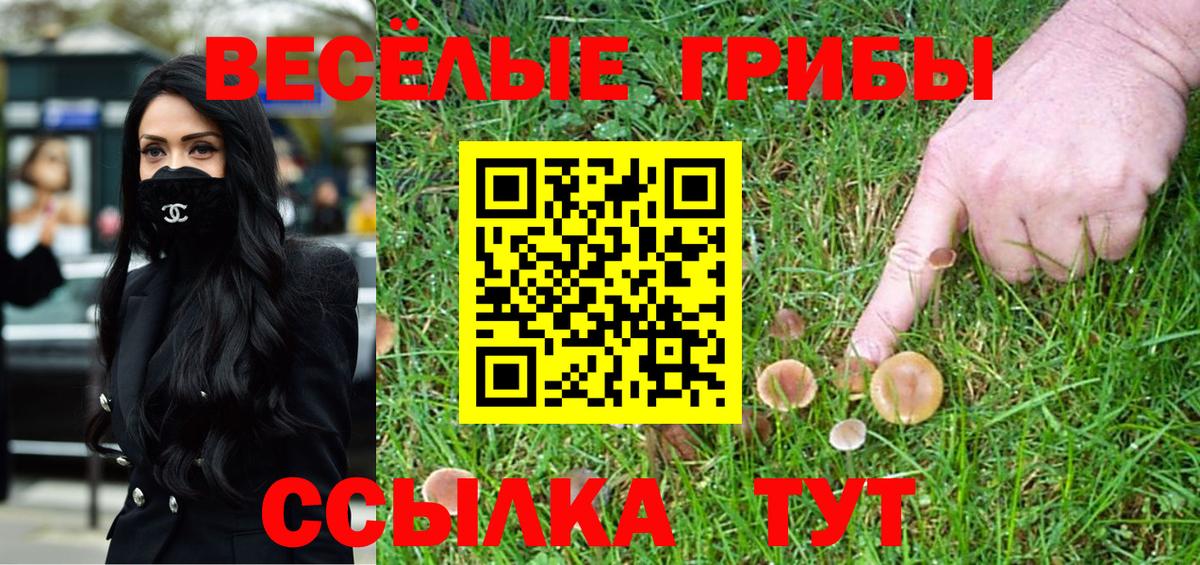 Галлюциногенные грибы мухоморы Бузулук