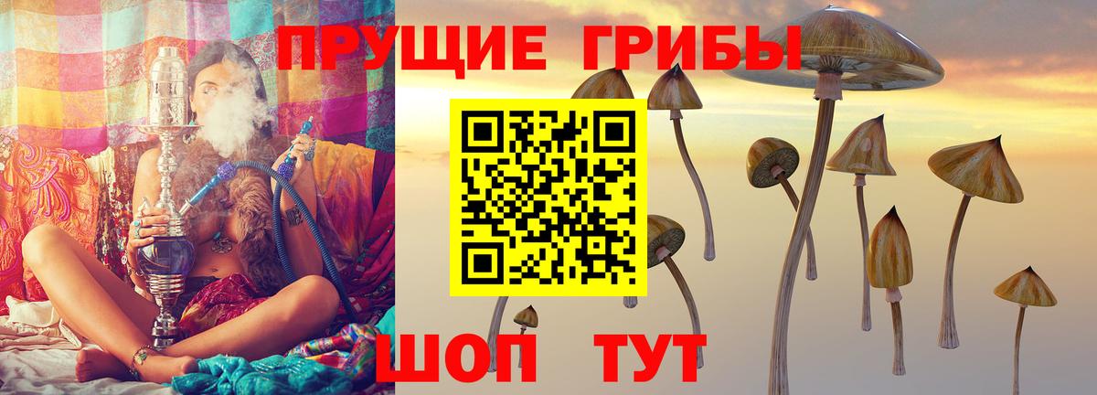 цена   Псилоцибиновые грибы Magic Shrooms  Вход с VPN  Бузулук 