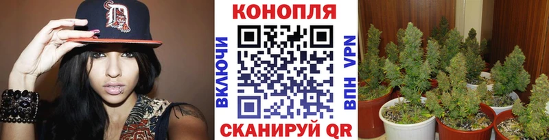Канабис AK-47 Бузулук